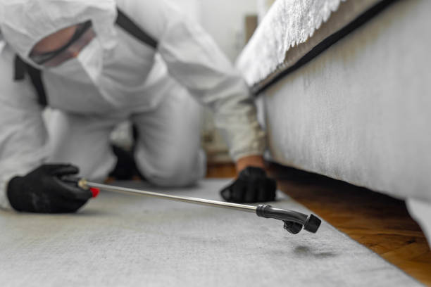 Professional Cockroach Control technician working in Lauderdale-by-the-Sea, FL