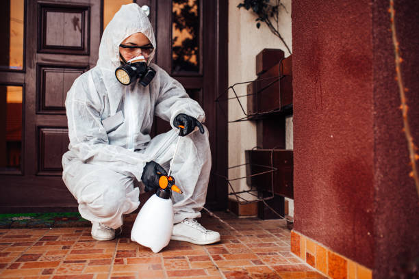 Reliable Cockroach Control contractor in Lauderdale-by-the-Sea, FL by Nex Pest Control