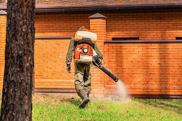 Trusted Fumigation Services service in Lauderdale-by-the-Sea, FL - Nex Pest Control